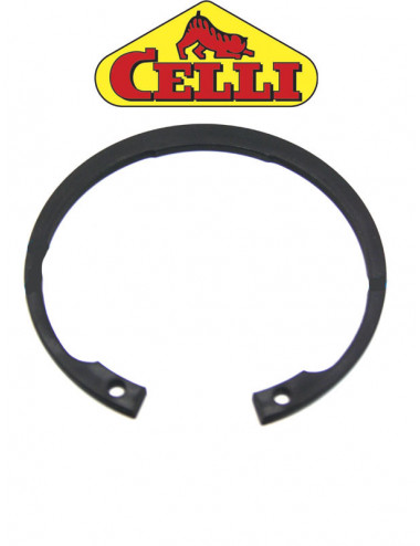 Seeger I 85 7437 celli -...